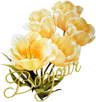 bonjour