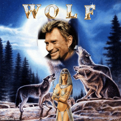 Johnny Hallyday