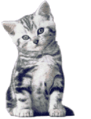 un petit gif