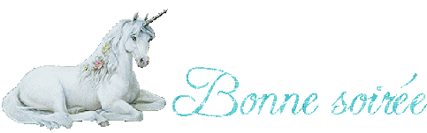 bonne soirée
