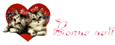 bonne soirée