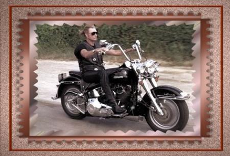 johnny hallyday